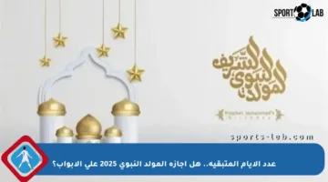 عدد الأيام المتبقية.. هل إجازة المولد النبوي 2025 على الأبواب؟